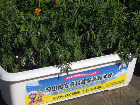 【園芸科学科】岡山インターハイ応援しています