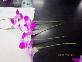 【園芸科学科】卒業式前日の恒例行事