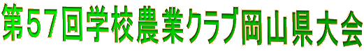 TVwZ_ƃNuR 