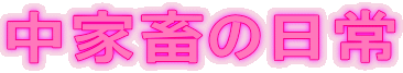 ƒ{̓ 