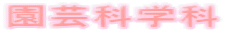 |Ȋw 