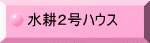 kQnEX 