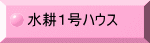 kPnEX 