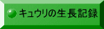 LE̐L^ 