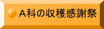 `Ȃ̎nӍ 