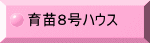 cWnEX 