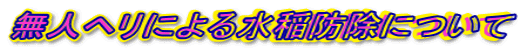 lwɂ鐅hɂ