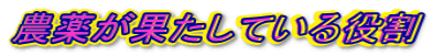 _򂪉ʂĂ