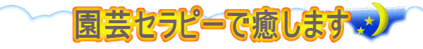 ���|�Z���s�[�Ŗ����܂�