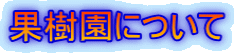 果樹園について
