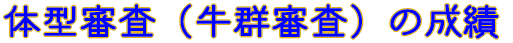 ̊iR@iQRj̐ 