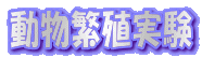 ɐB 