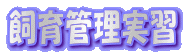 ǗK 