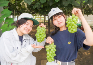 様々な果樹の栽培