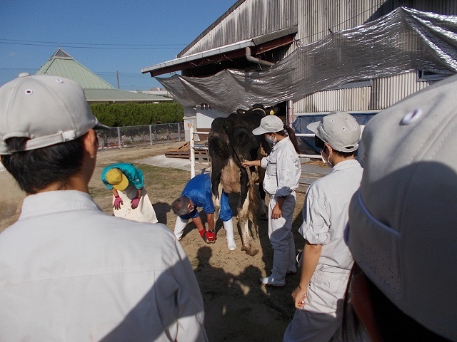 保定枠なしで後ろ足