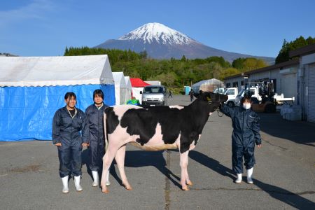 乳牛研究部セントラルジャパンホルスタインショウ出場